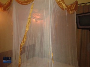 Mosquito net in hotel