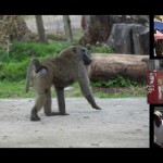 Nakuru in 3 minutes