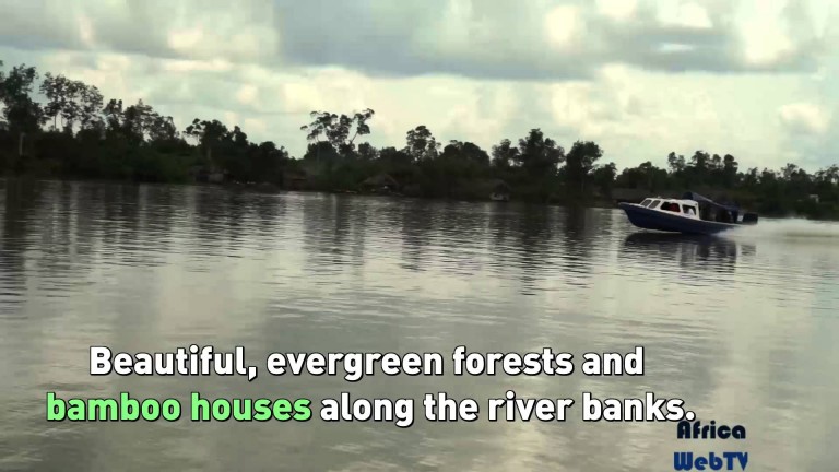 Dodo river Nigeria (Natural African Beauty)