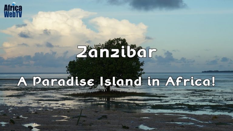 Zanzibar – A Paradise Island in Africa!
