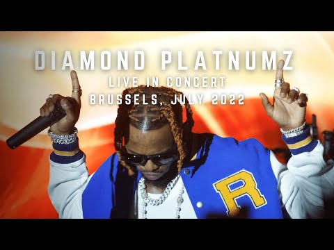 Diamond Platnumz | Live In Concert In Brussels | July 2022 | Snippets