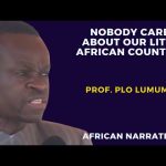 PLO Lumumba To Yoweri Museveni – Nobody Cares About Our Little African Countries