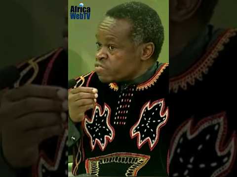 Many Political Leaders In Africa Are Thieves! | PLO Lumumba