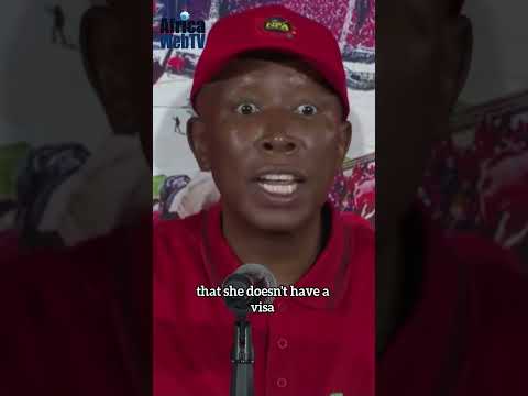 There Are Lots Of Illegal White Immigrants In South Africa | Julius Malema