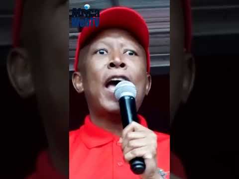 The Julius Malema Constitutional Logic