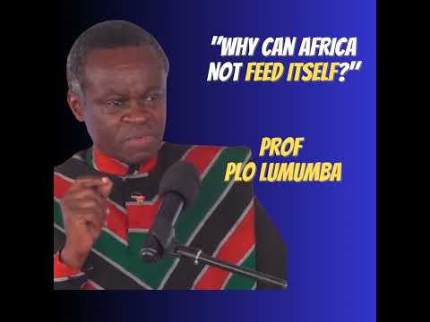 There Are Good Things Happening In Africa | Prof. PLO Lumumba | The African Narratives Podcast